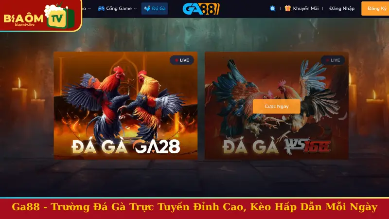 Ga88 - Nhà Cái Trực Tuyến Đỉnh Cao, Kèo Hấp Dẫn Mỗi Ngày