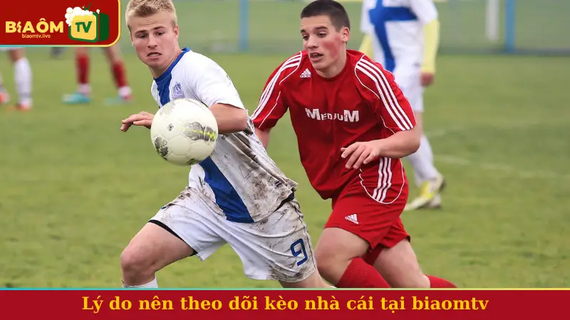 Lý do nên theo dõi kèo nhà cái tại biaomtv
