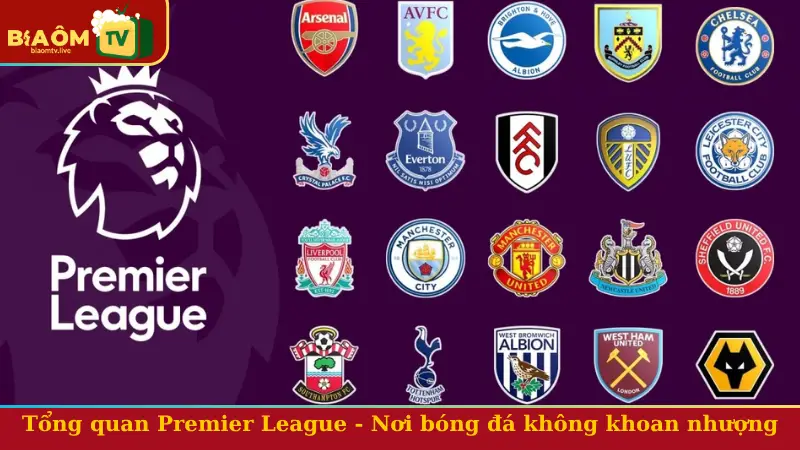 Tổng quan Premier League - Nơi bóng đá không khoan nhượng