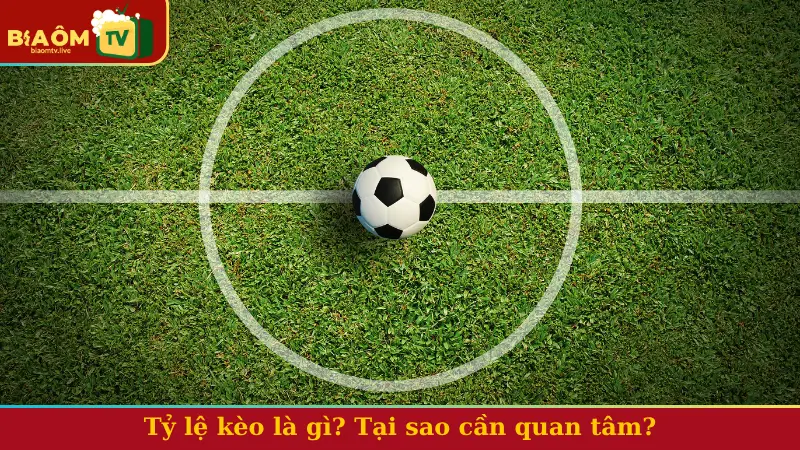 Tỷ lệ kèo là gì? Tại sao cần quan tâm?